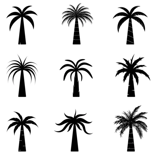 Collezione Black Coconut Trees Icona Può Essere Utilizzato Illustrare Qualsiasi — Vettoriale Stock