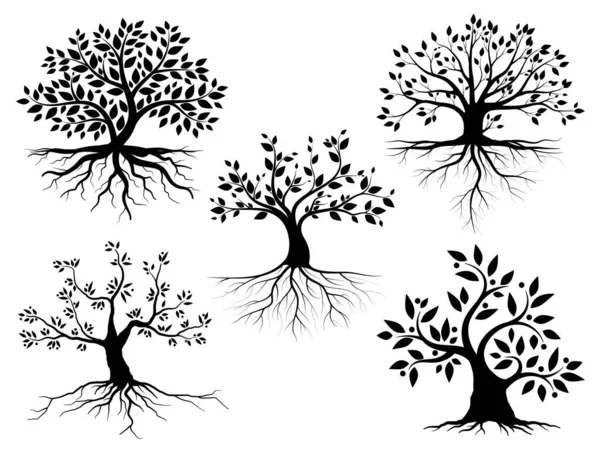 Zestaw Czarne Drzewa Korzeń Liści Wyglądają Pięknie Orzeźwiająco Drzewo Korzenie — Wektor stockowy