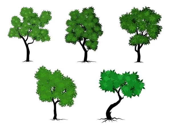 Дерева Встановлені Зеленим Листям Виглядають Красиво Освіжаюче Дерево Коріння Стиль — стоковий вектор