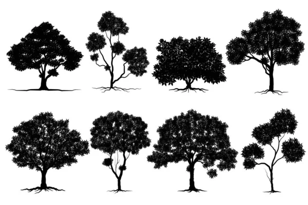 Árbol Negro Estilo Símbolo Fondo Blanco Ilustraciones Aisladas Dibujadas Mano — Vector de stock