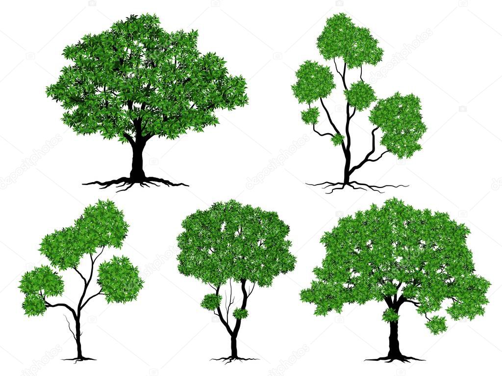 Trees set with green leaves look beautiful and refreshing. Tree and roots LOGO style.