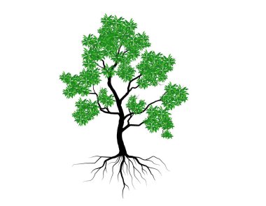 Yeşil yapraklı ağaçlar güzel ve ferahlatıcı görünüyor. Ağaç ve kökler LOGO biçimi.