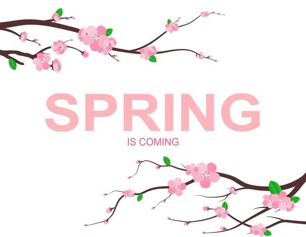 Rosa Blume Und Zweig Symbol Stil Frühling Hintergrundkonzept Kann Für — Stockvektor