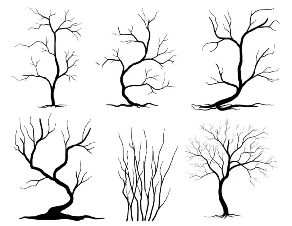 ブラックブランチツリーまたは裸の木のシルエットセット 手描き分離図 — ストックベクタ