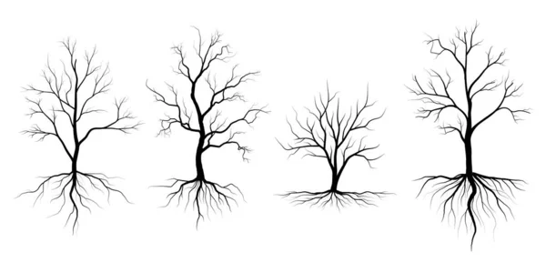 Черное Ветвистое Дерево Силуэты Обнаженных Деревьев Иллюстрации Вручную — стоковый вектор