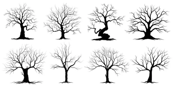 Zwarte Tak Boom Naakte Bomen Silhouetten Set Handgetekende Geïsoleerde Illustraties — Stockvector