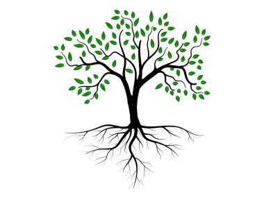 Yeşil yapraklı bitki ve kök güzel ve ferahlatıcı görünüyor. Ağaç ve kökler LOGO biçimi.