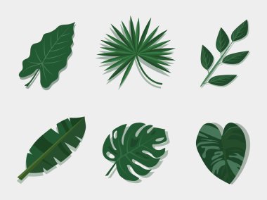 Yaprakları doğa için yeşil renge ayarla ve beyaz arkaplanda, el çizimi vektör.