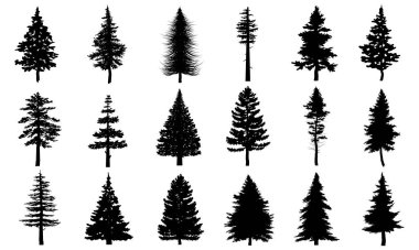 Big Collection of Black pine trees silhouettes vector Icon. Can be used to illustrate any nature or healthy lifestyle topic. clipart