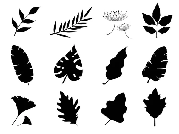 Blätter Pflanze Schwarze Farbe Für Die Natur Und Weißen Hintergrund — Stockvektor