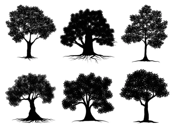 Kolekcja Czarny Drzewo Symbol Styl Białe Tło Może Być Używany — Wektor stockowy