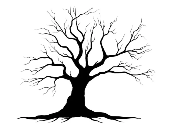 Kara Dal Ağacı Çıplak Ağaç Siluetleri Çizimi Izole Çizimler — Stok Vektör