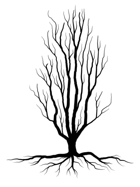 Black Branch Tree Naked Trees Root Silhouettes Hand Drawn Isolated — Stock Vector