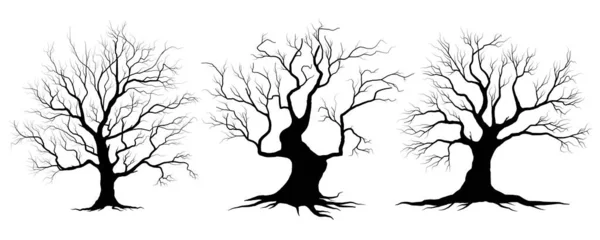 브랜치 Black Branch Tree 나무와 실루엣 손으로 고립된 — 스톡 벡터