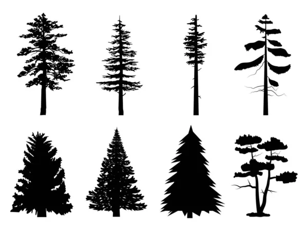 Установите Черный Цвет Сосны Белый Фон Использована Вашей Работы — стоковый вектор