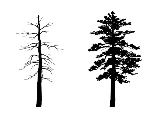 Schwarze Farbe Baum Symbolstil Und Weißer Hintergrund Kann Für Ihre — Stockvektor
