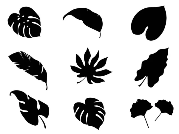 Set Blätter Pflanzensilhouette Isoliert Für Die Natur Und Auf Weißem — Stockvektor