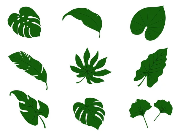 Set Feuilles Plante Couleur Verte Pour Nature Sur Fond Blanc — Image vectorielle