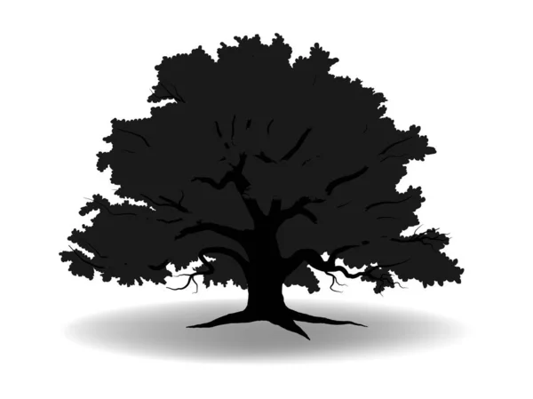 大きな黒い木と白い背景 ツリーシルエットベクトル — ストックベクタ