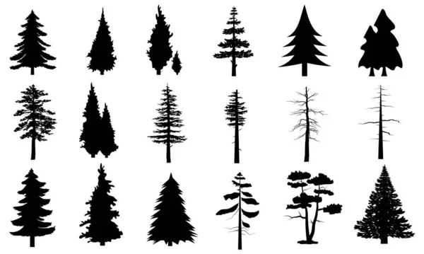 Grote Collectie Van Zwarte Pijnbomen Silhouetten Vector Icoon Kan Worden — Stockvector