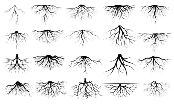 Big Collection Black Roots Silhouettes Vector Symbol Style White Background — Stock Vector