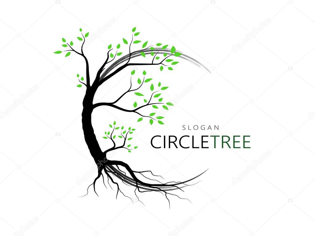 Trees and root with green leaves look beautiful and refreshing. Tree and roots LOGO style.