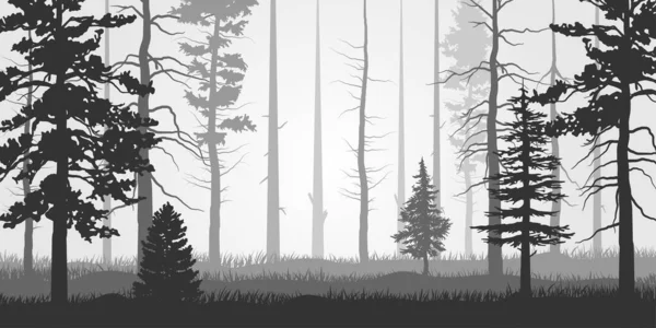 Boombos Park Steegje Landschap Van Geïsoleerde Bomen Silhouet Vector Winterbosconcept — Stockvector