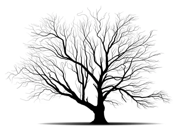 ブラックブランチツリーまたは裸の木のシルエット 手描き分離図 — ストックベクタ