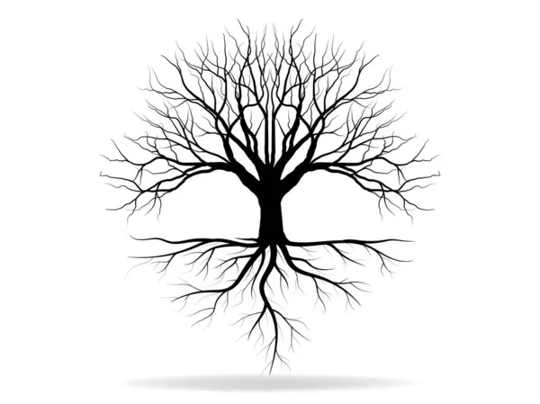 Yapraklı siyah ağaçlar ve kökler güzel ve ferahlatıcı görünüyor. Ağaç ve kökler LOGO biçimi.