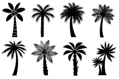 Kara hindistan cevizi ağacı koleksiyonu. Herhangi bir doğa ya da sağlıklı yaşam tarzını göstermek için kullanılabilir..