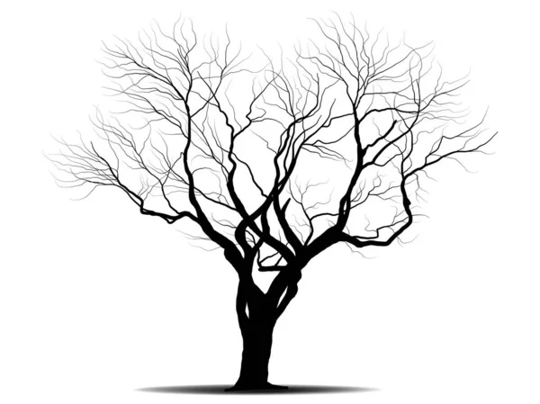 Černé Větve Strom Nebo Nahé Stromy Siluety Ručně Kreslené Izolované — Stockový vektor