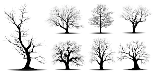 Arbre Branches Noires Silhouettes Arbres Nus Illustrations Isolées Dessinées Main — Image vectorielle