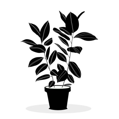 İç tasarım ve dekorasyon için vektör gerçekçi ev tropikal palmiye saksısı