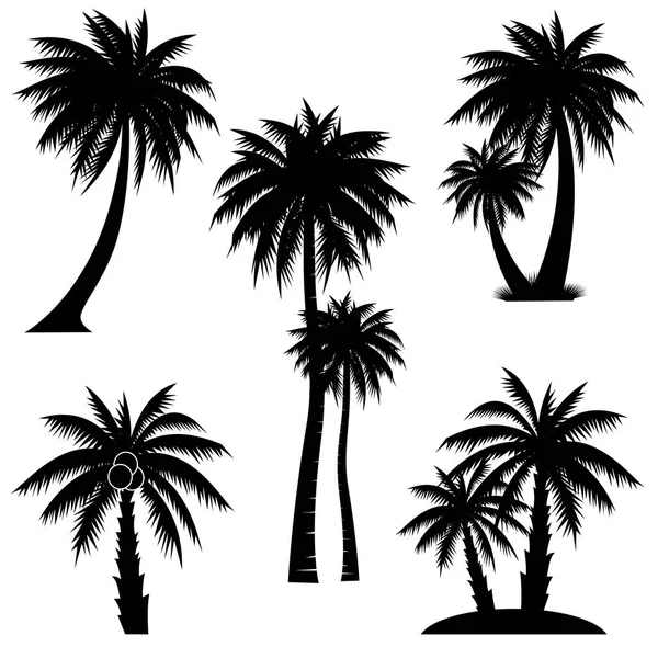 Collezione Black Coconut Trees Icona Può Essere Utilizzato Illustrare Qualsiasi — Vettoriale Stock