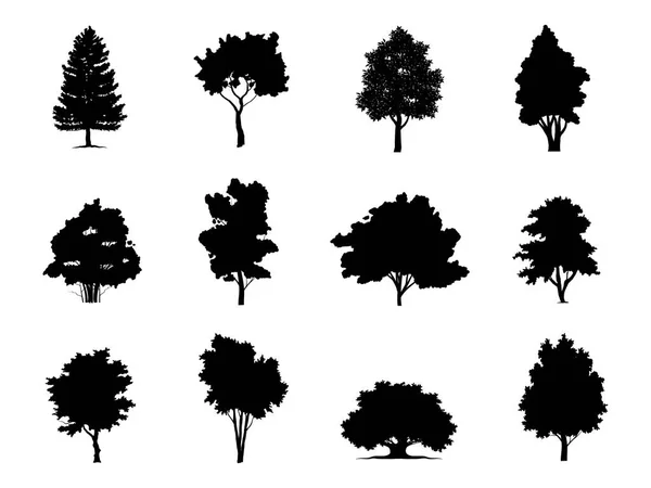 Collection Silhouette Arbre Noir Style Symbole Fond Blanc Peut Être — Image vectorielle