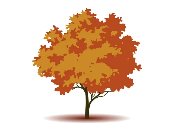 Autumn Big Tree Autumn Dry Leave Nature Branch Plant Vector — Stock Vector