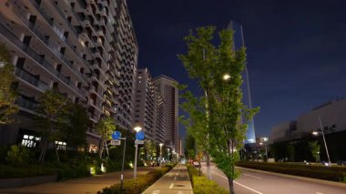 Harumi Bayrak Gece Manzarası, Japonya Tokyo Haziran 2025