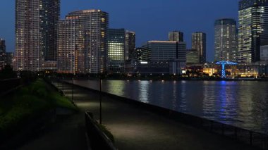 Harumi Ryokudo Park Gece Manzarası, Japonya Tokyo 2025