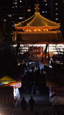 Ueno Shinobazu Gölet Gecesi Kiraz Çiçeği, Japonya Tokyo 2025