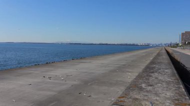 Maihama, Japonya Chiba Ocak 2025