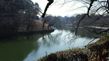 Chidorigafuchi, Japonya Tokyo Ocak 2025