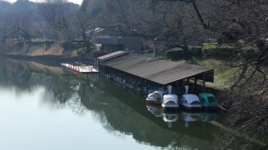 Chidorigafuchi, Japonya Tokyo Ocak 2025