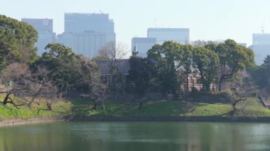 Chidorigafuchi, Japonya Tokyo Ocak 2025