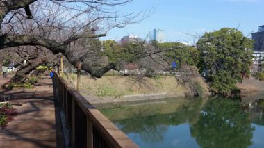 Chidorigafuchi, Japonya Tokyo Ocak 2025