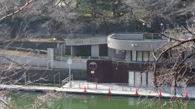 Chidorigafuchi, Japonya Tokyo Ocak 2025