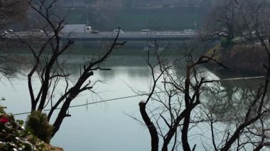 Chidorigafuchi, Japonya Tokyo Ocak 2025