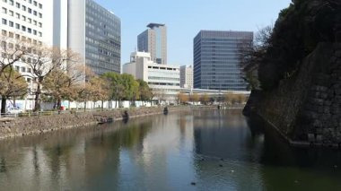 Chidorigafuchi, Japonya Tokyo Ocak 2025