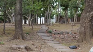 Japonya Ulusal Senato Binası Bahçesi Kuzey Bölgesi 2025