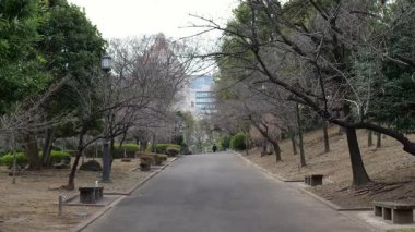 Japonya Ulusal Senato Binası Bahçesi Kuzey Bölgesi 2025