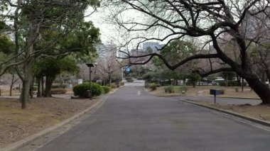 Japonya Ulusal Senato Binası Bahçesi Kuzey Bölgesi 2025